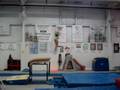 Sarah Wolford Yurchenko Layout Full (November 2008)
