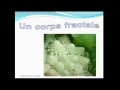 congr�s en ost�opathie 10 au 14 f�vrier 2011.