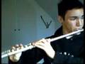 Mozart - Flute concerto no. 2 in D major K314 mvt. 2