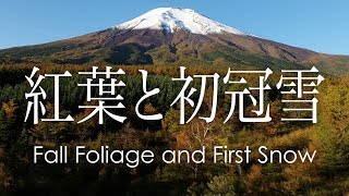 絶景空撮 富士山の紅葉と初冠雪 | Aerial view of fall foliage and the first snow on Mt.Fuji