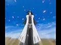 Bleach Meaning of life