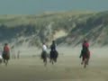 Ren Galop Schoorl Ren Galop Schoorl