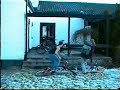 Papegoj Rescue - skolarbete från 9:an Papegoj Rescue - skolarbete från 9:an