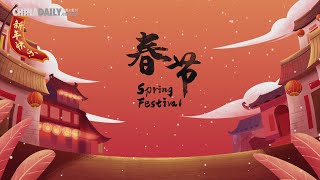 Welcome to the Spring Festival