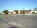 Ken Snowden - Hip Resurfacing only 3 weeks post op getting his spin back.AVI