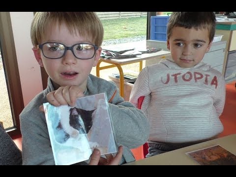 Image de prévisualisation YouTube