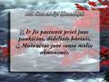 videos de 105. Sura Al-Fyl (Dramblys)
