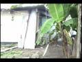 videos de salud en paso canoas