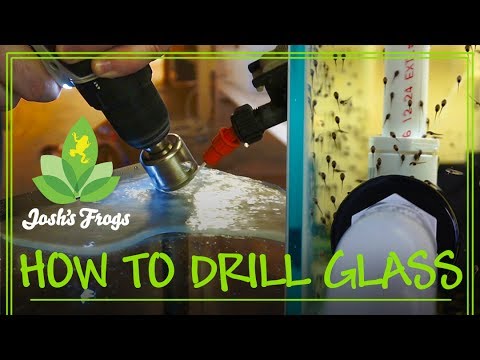YouTube reptile video