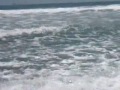 Venice Beach pt.1 Venice Beach pt.1
