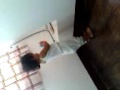 Bookworm Disey.3GP