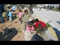 ????????? ??????? 2008 reforestation Glyfada 2008
