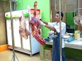 Selamat Datang Ke DagingSegar.Com Selamat Datang Ke DagingSegar.Com