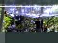 Assistir ao v�deo