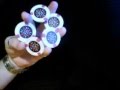 Another Chip Trick Video by TheEMan