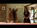 Isabel Fay: Don't let a Gift Horse in the house. Edinburgh Fringe Festival 2008 promo (trailer)
