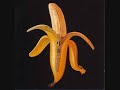 The Dandy Warhols