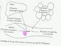 sustratos energeticos 6