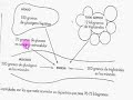 sustratos energeticos 6
