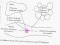 sustratos energeticos 6