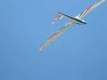 Aerobatic Japan in Kakuda: inverted low pass