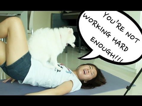 DOGGY WORKOUT!