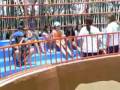 videos de Entrenador de Lobos Marinos