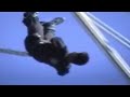 Bungee Jump