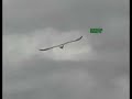 EL-AGUILA-Y-LA-MONTA