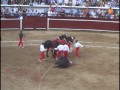 Protesta antitoreo en graderías de plaza de toros de Cali- Dic 27-2011 ¿CUANTA SANGRE MAS PUEDE SOPORTAR TU CONCIENCIA? POR LA CONSULTA POPULAR PARA ABOLIR EL TOREO En Ecuador el presidente de ese país realizo una Consulta Popular, mecanismo de participación ciudadana que también existe en Colombia, donde pregunto a la ciudadanía si quería prohibir los espectáculos donde se matan los animales. L@s antitoreo ganaron en casi todas las ciudades. Le solicitamos al gobierno nacional que convoque una Consulta Popular para que los colombianos podamos decidir soberanamente si queremos abolir las corridas de toros de nuestra sociedad y así no sea un pequeño grupo de personas que nos impongan el toreo. La Consulta Popular también podría ser convocada a nivel municipal o departamental por el nuevo alcalde o gobernador. Observa el salto al ruedo del 2008 www.youtube.com