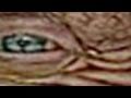 My Eyes on Your Family
