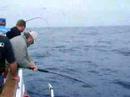 Searcher Sportfishing