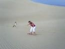 Haciendo Sandboerd en las dunas de Paracas Pisco Peru