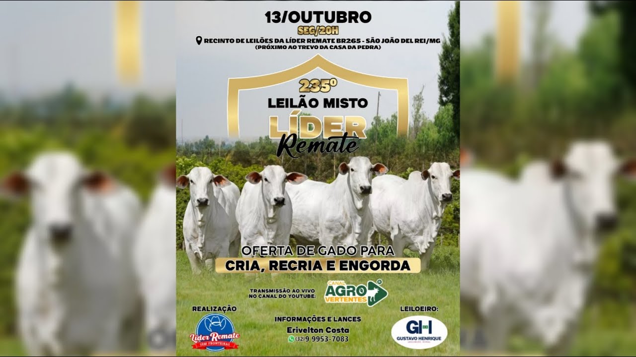 235º LEILÃO MISTO LÍDER REMATE - 13/10/2025