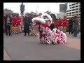 melbourne docklands chinese hok san lion dance pt 2