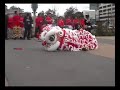 Melbourne Docklands Chinese Hok San Lion Dance Pt 2
