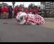 Melbourne Docklands Chinese Hok San Lion Dance Pt 2