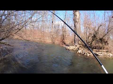 fly fishing for wild brown trout in the pocono mountains on guided fly fishing tours with jesse filingo of filingo fly fishing