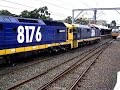 2 coupled 81 Class PacNat Locos, 8104 and painted in PacNat livery 8176 head northbound into Wollongong Railway Station as V64 coupled with a 2 car V Set on a down run to Dapto/Kiama.WARNING: Very loud flange!!!