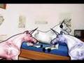 Assistir ao v�deo