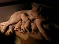 videos de White shepherd pups in kennel KONTRASTAS