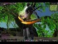 12-Sky (close up video)