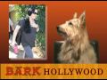 It's Todd's Show Ep26 - NIGHTMARES, ZOMBIES & PET COSTUMES