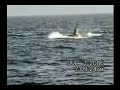 Sailing-Puget-Sound