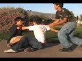 juguito-de-ciruela.html
