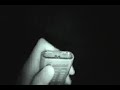 Infra-vermelho visivel Infra-vermelho visivel