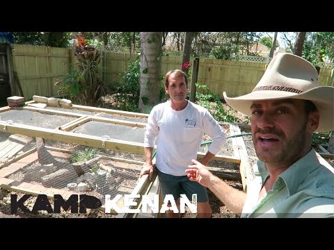 YouTube reptile video