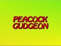 Peacock Gudgeon