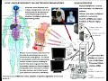 Misuse of Classified BioRadar by Lee County Fl Sheriff Dpt Misuse of Classified BioRadar by Lee County Fl Sheriff Dpt