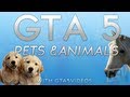 GTA V - Pets and animals